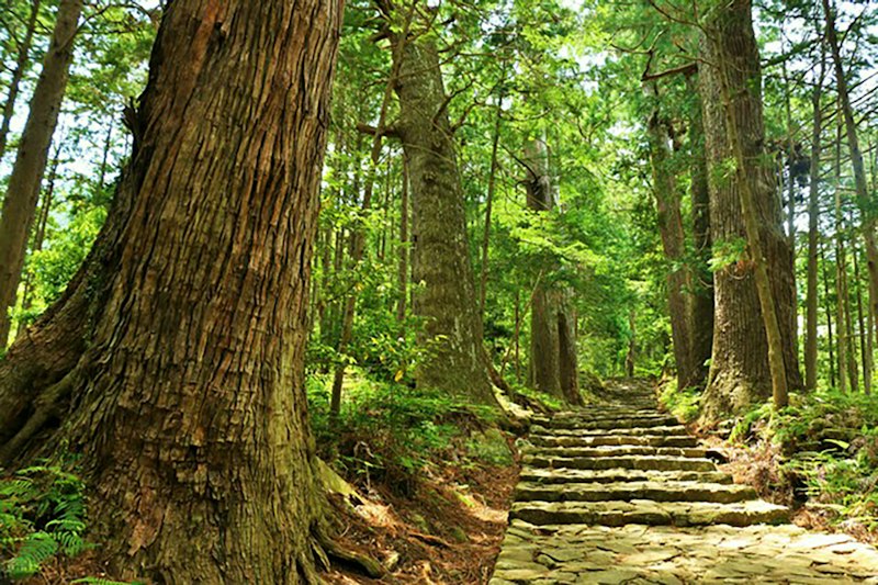 海に！山に！和歌山の夏旅