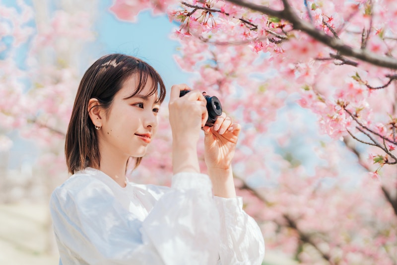 春を切り取る、はじめての写真撮影