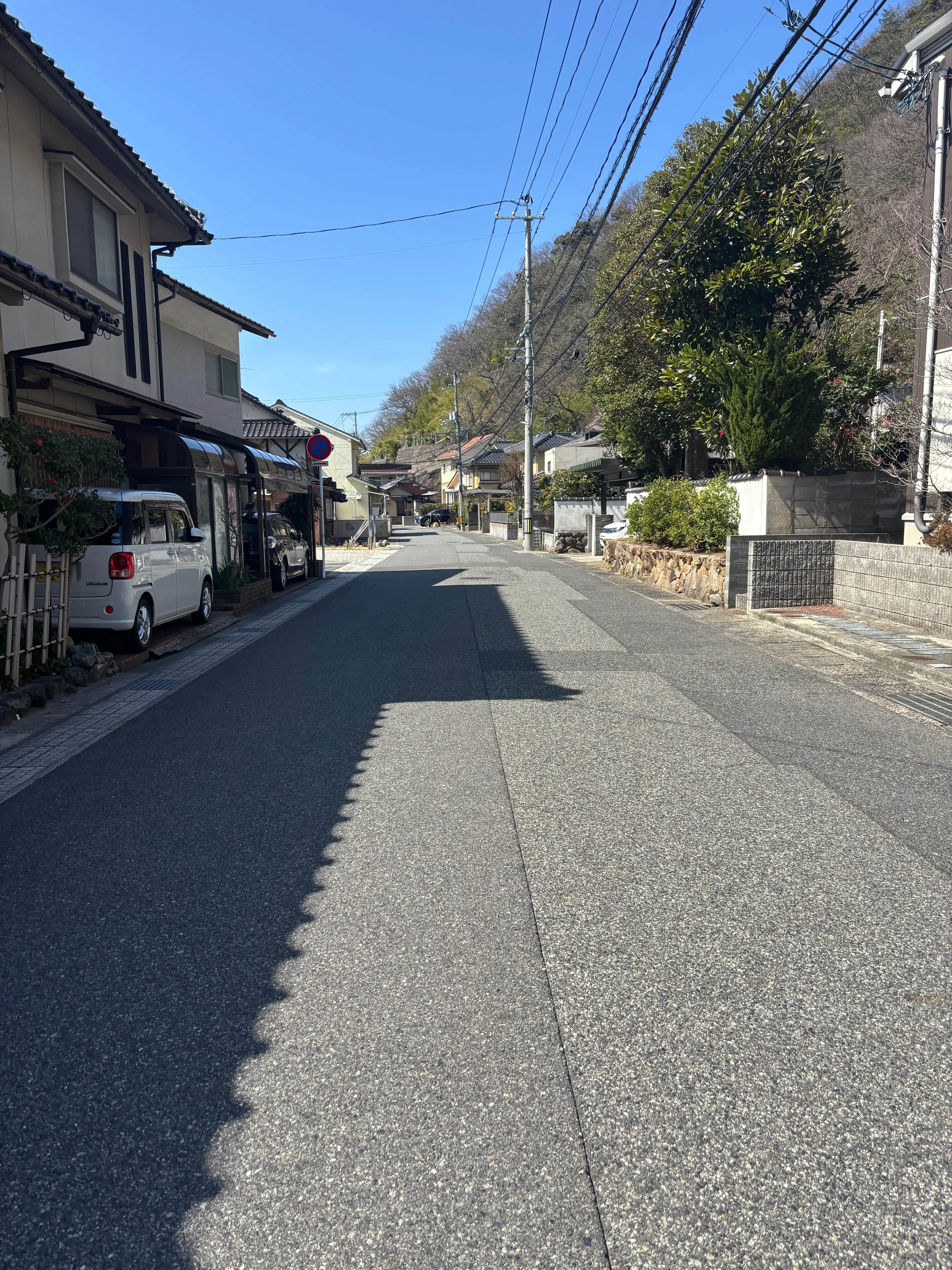 鳥取市湯所　売地