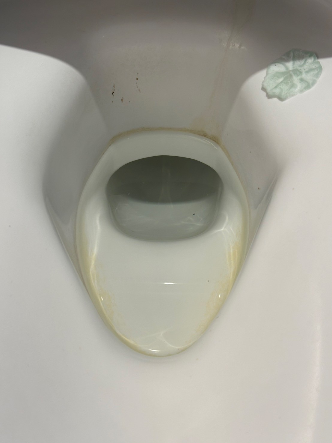清掃前トイレのさぼったリング