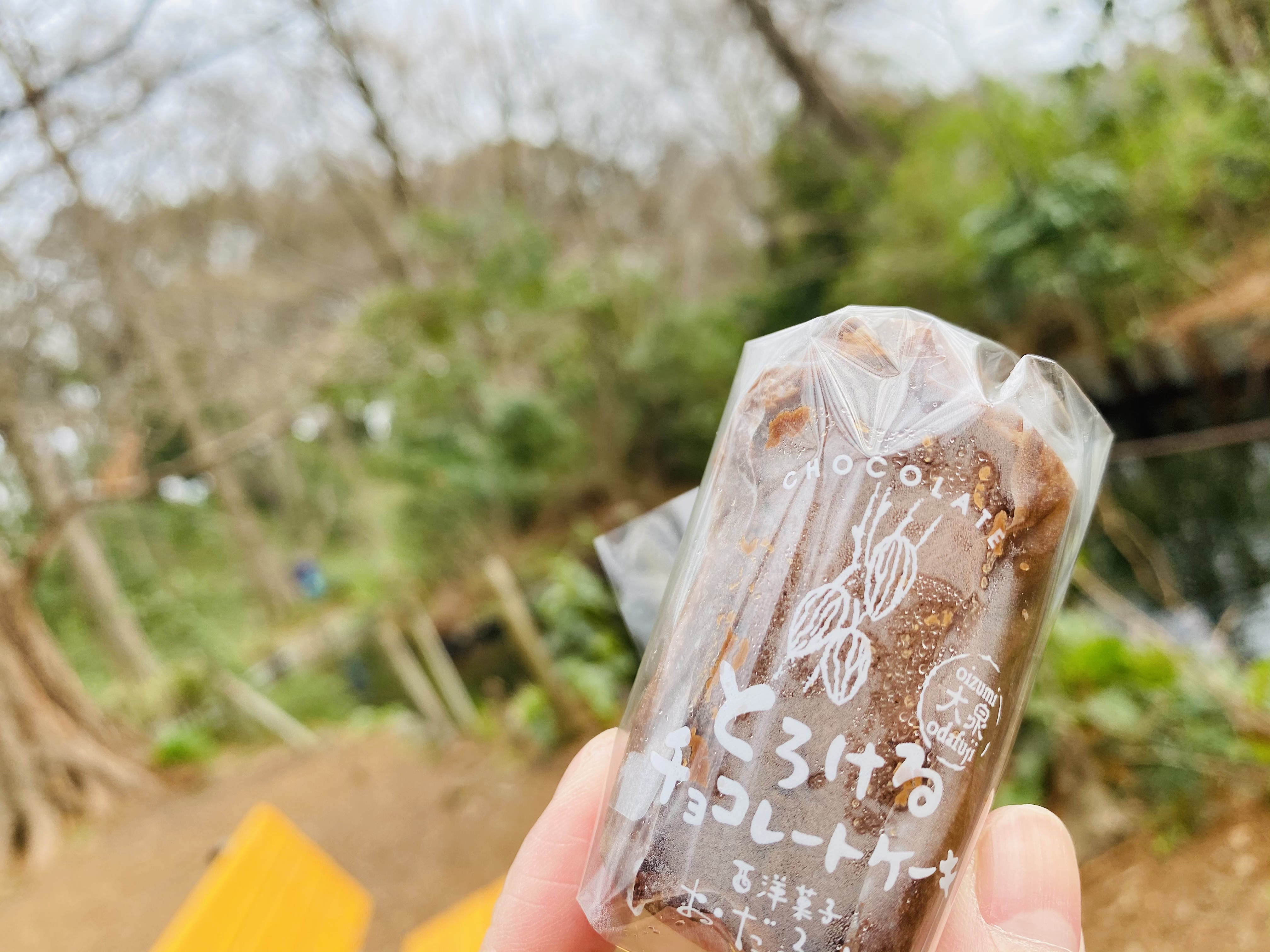 武蔵野スフレ とろけるチョコレートケーキ