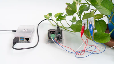 植物生体電位測定をオープンにするプロジェクト