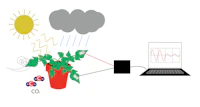 Open Plant Bioelectric Potential Measurement image 4