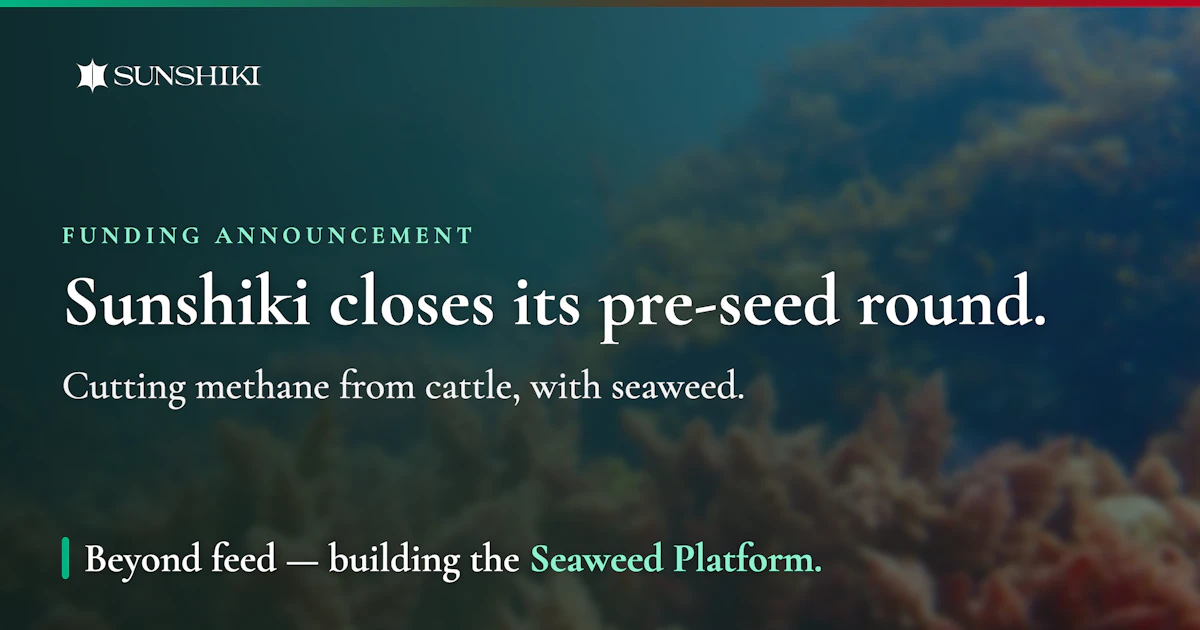 Sunshiki closes its pre-seed round to cut greenhouse gases from cattle — with seaweed