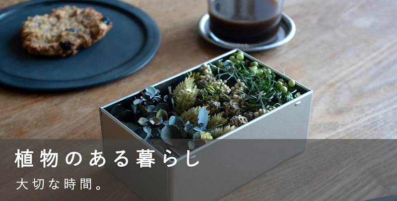 植物のある暮らし