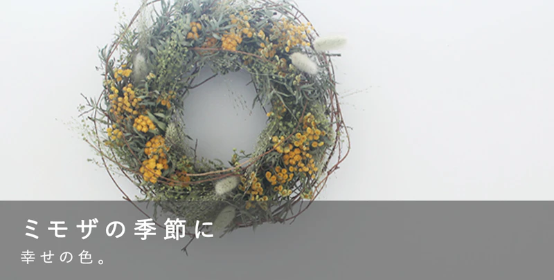 ミモザの季節に