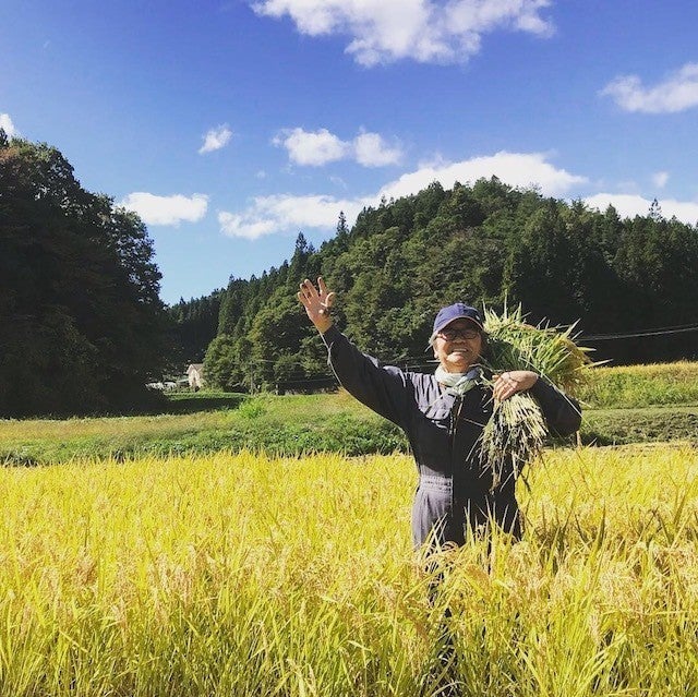 山燕庵お米生産