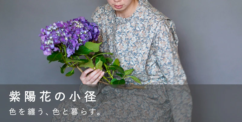 紫陽花の小径