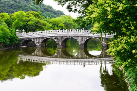 韓国の頭流公園