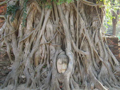 アユタヤ世界遺産