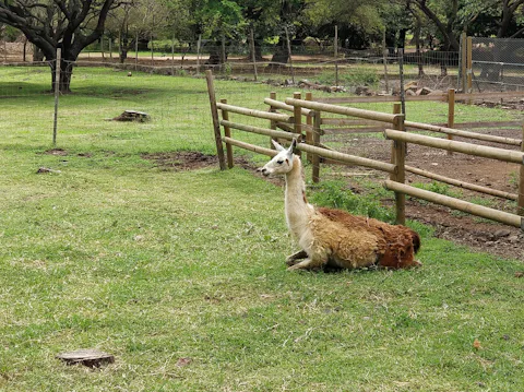 ガゼラ・ネイチャー&レジャーパーク