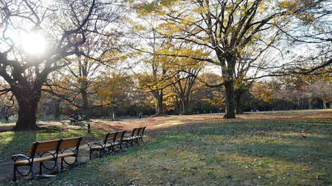代々木公園