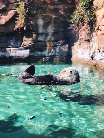 シアトル水族館