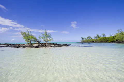 モーリシャスのイル・オ・セルフ レジャーアイランド