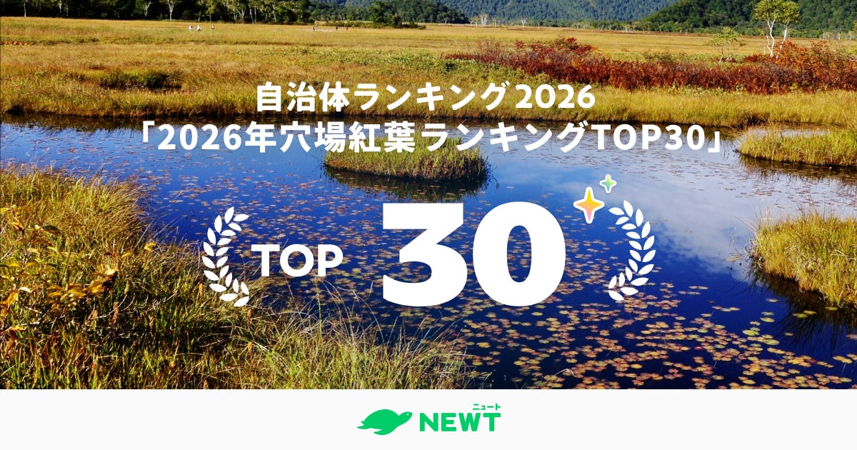 全国1,741自治体を徹底調査!2026年・穴場紅葉スポット 自治体ランキングTOP30