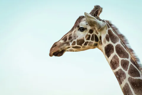バンコクサファリワールド