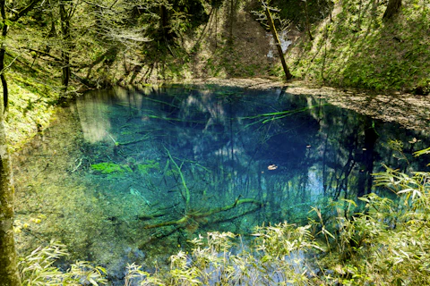 青森の十二湖