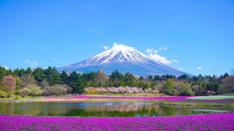 【2024年最新】日本の世界遺産一覧！人気スポットの見どころを紹介