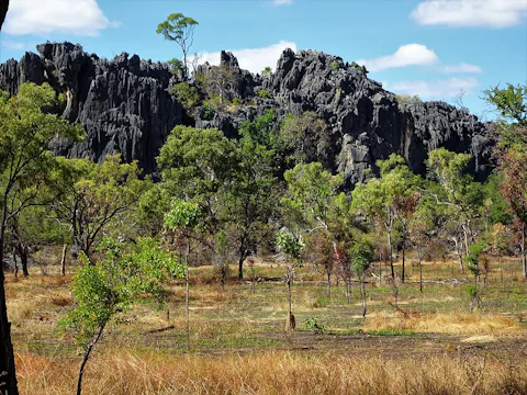 ケアンズのチラゴー