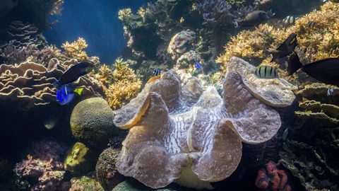 ワイキキ水族館