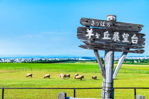 さっぽろ羊ヶ丘展望台