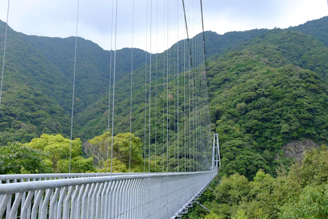 宮崎の綾の照葉大吊橋