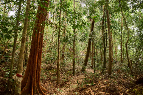 フーコック国立公園
