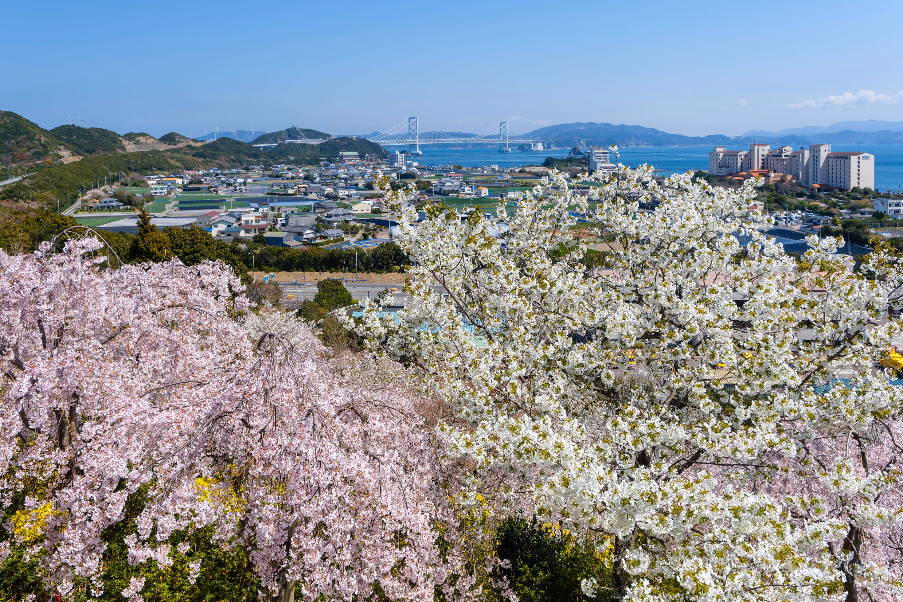 徳島の鳴門