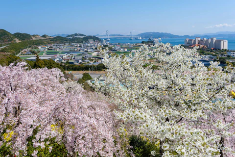 徳島の鳴門