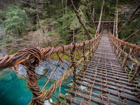 徳島の祖谷のかずら橋