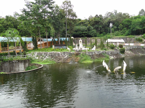 チェンマイのチェンマイ水族館