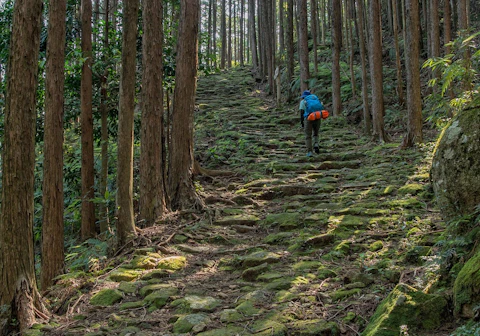 三重の熊野