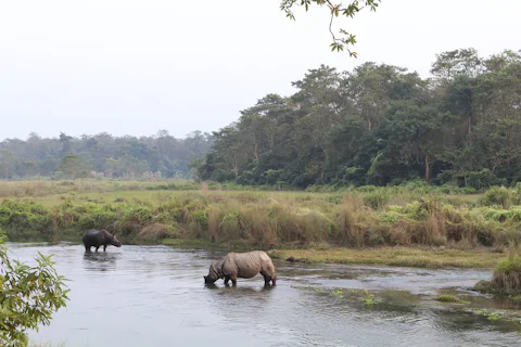 ネパールのチトワン国立公園