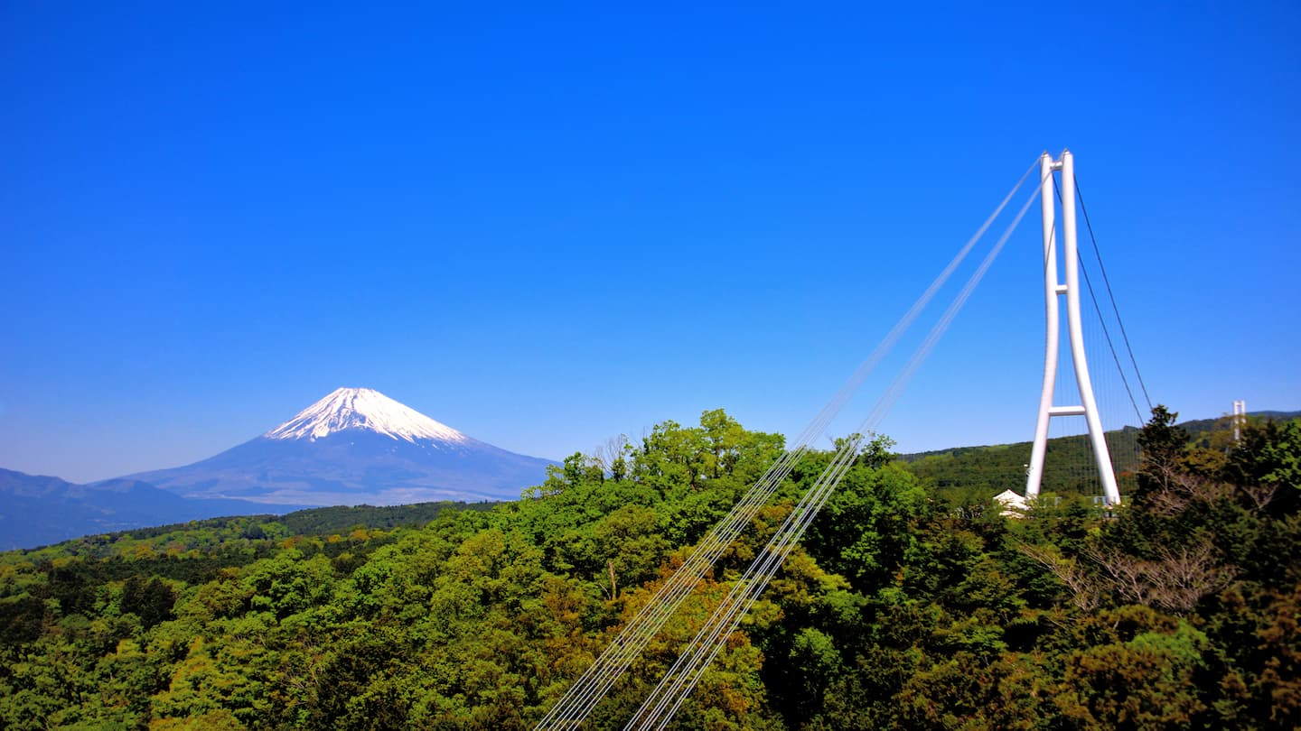 三島で子連れ旅行におすすめのホテル11選！スカイウォークや楽寿園へ好アクセス