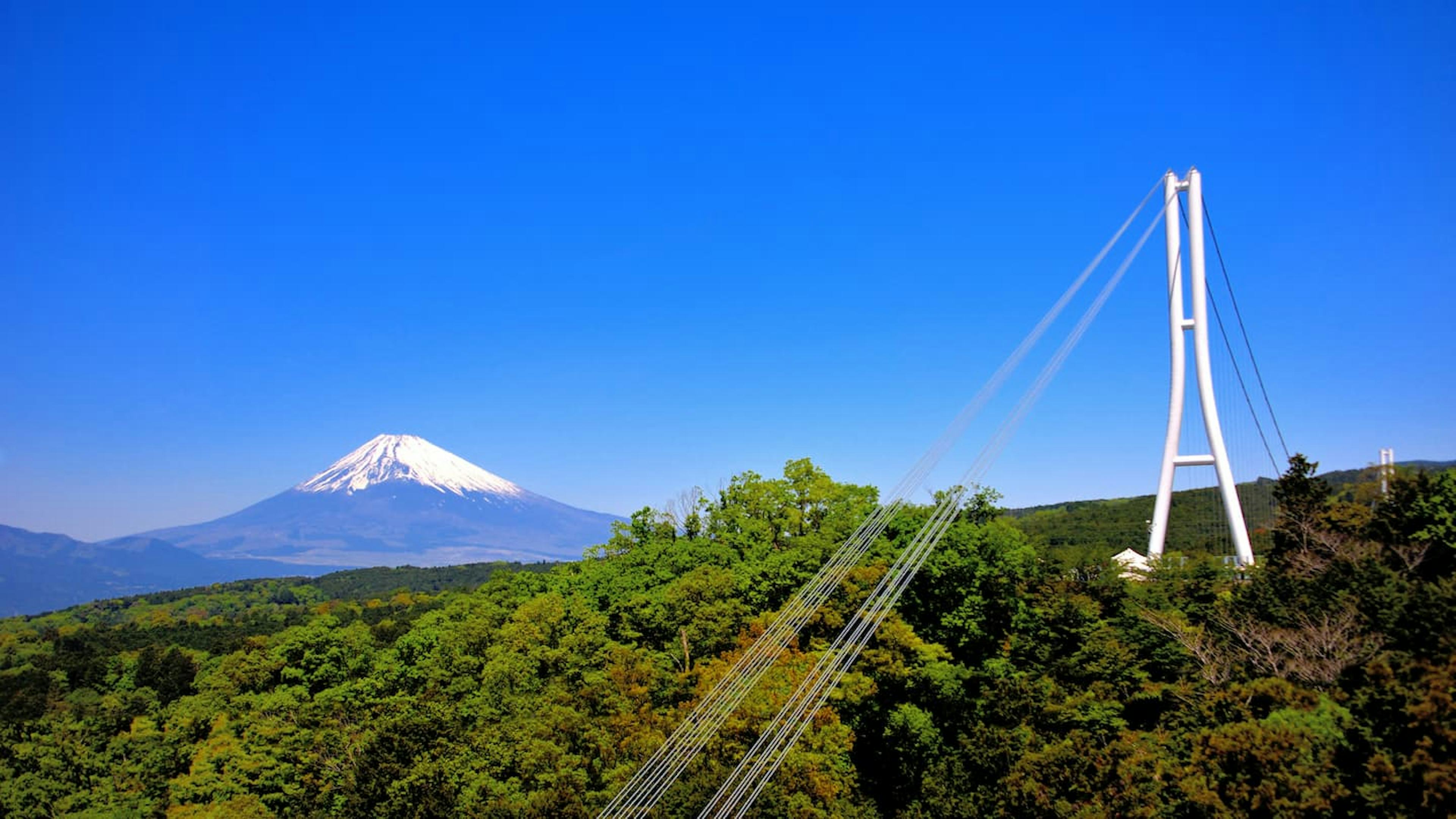 三島で子連れ旅行におすすめのホテル11選！スカイウォークや楽寿園へ好アクセス