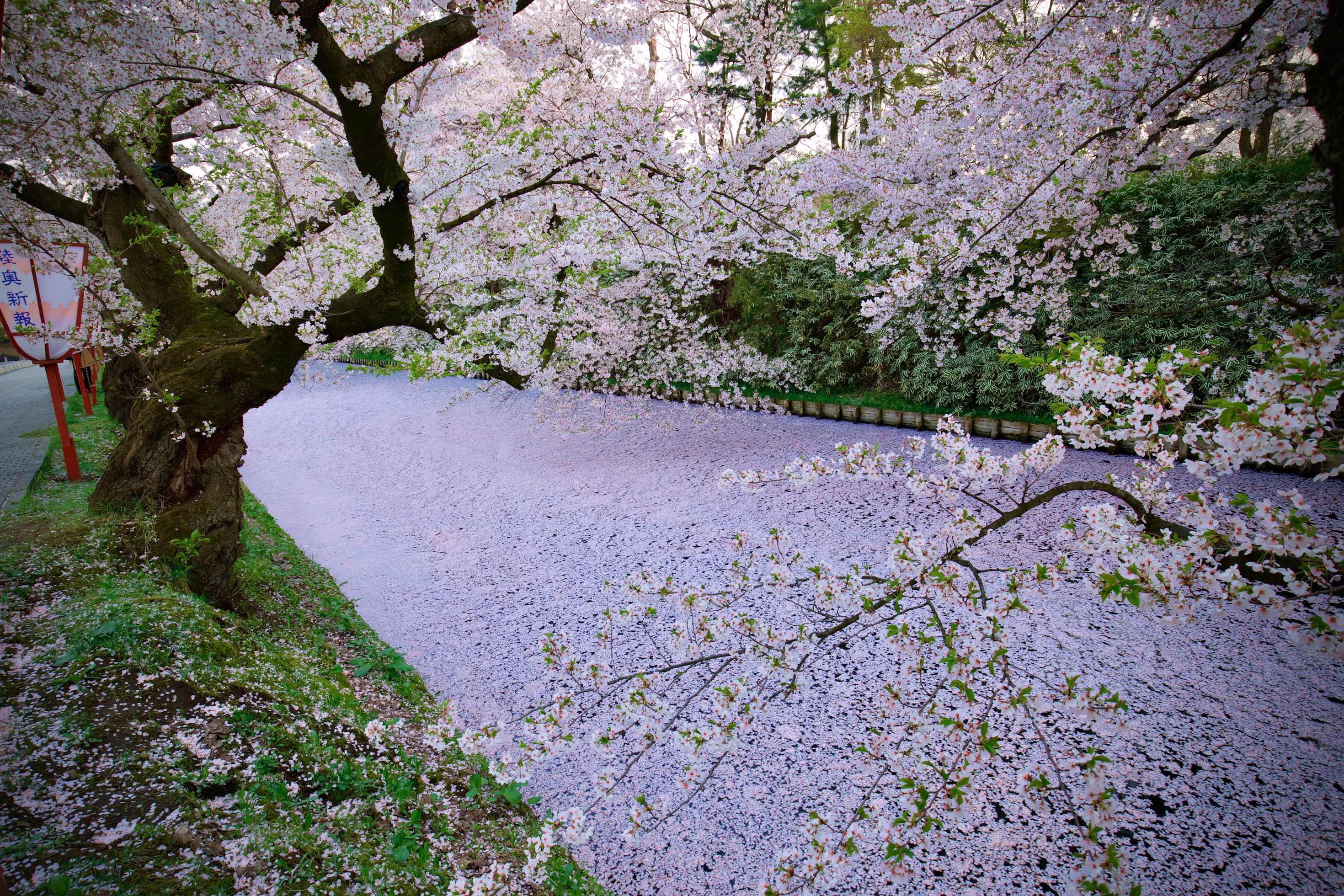 青森の弘前エリア
