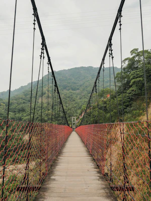 阿里山の天長地久橋