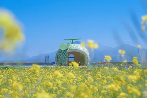 フルーツバス停