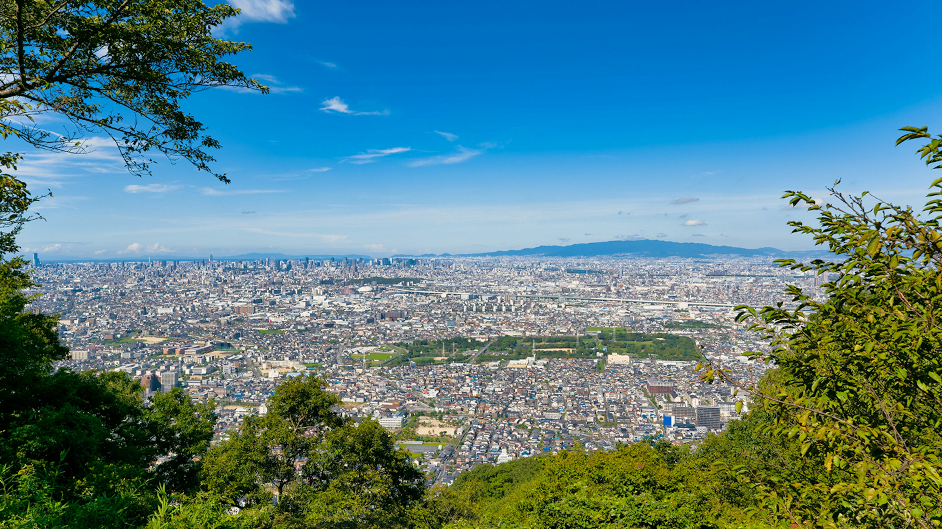 絶景と歴史の宝庫！飯盛山・飯盛城跡の見どころやハイキングの楽しみ方