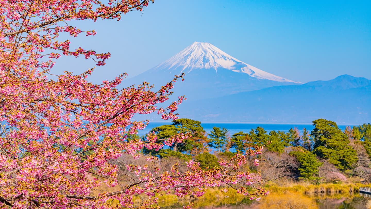 静岡の高級ホテル12選！記念日や推し活に