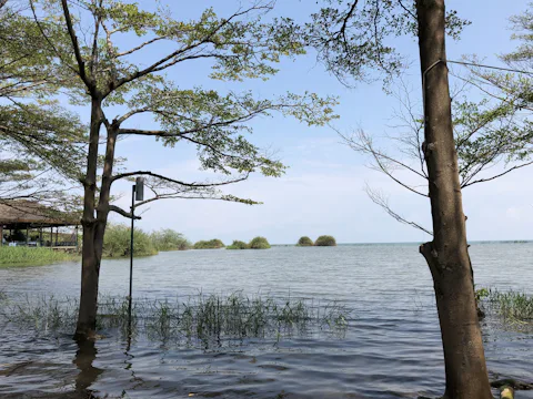 タンガニーカ湖