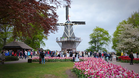 アムステルダムのキューケンホフ公園