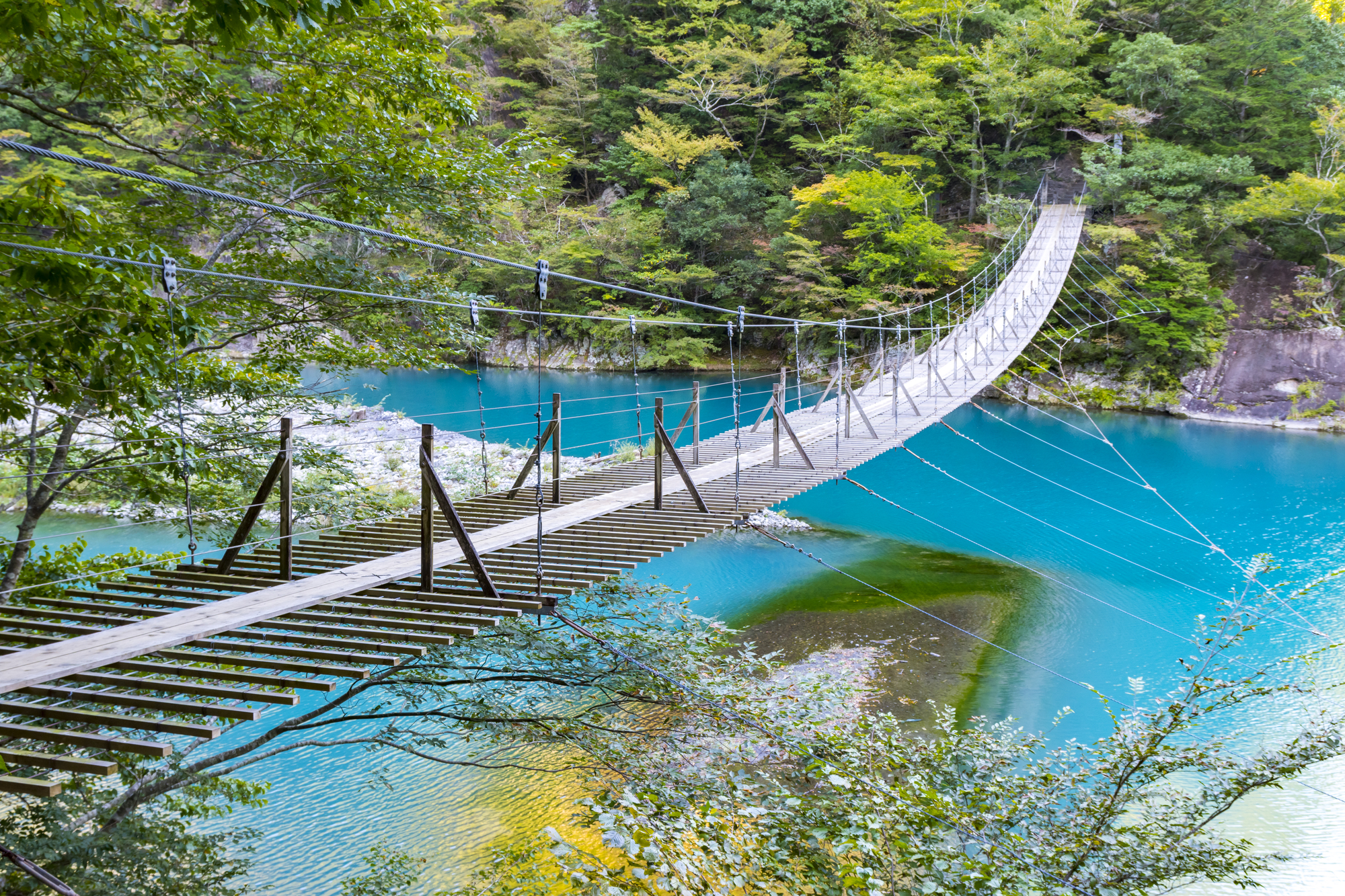 静岡県遊び地図館 いままでなかった。変におもしろい。 静岡県 おもしろ自転車 子供の遊び場・お出かけスポット | いこーよ