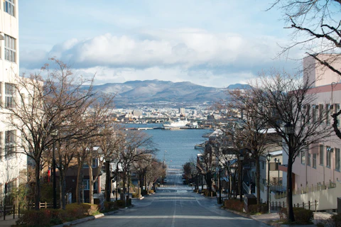 函館の八幡坂