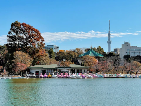 東京の上野恩賜公園