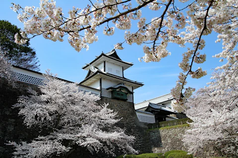 日本の石川