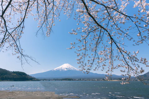 山梨の河口湖