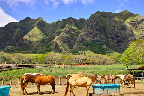 ハワイのクアロア・ランチ