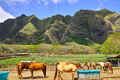 クアロア・ランチ