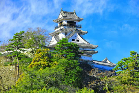 高知城